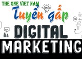Tuyển Nhân viên SEO - Digital – Marketing